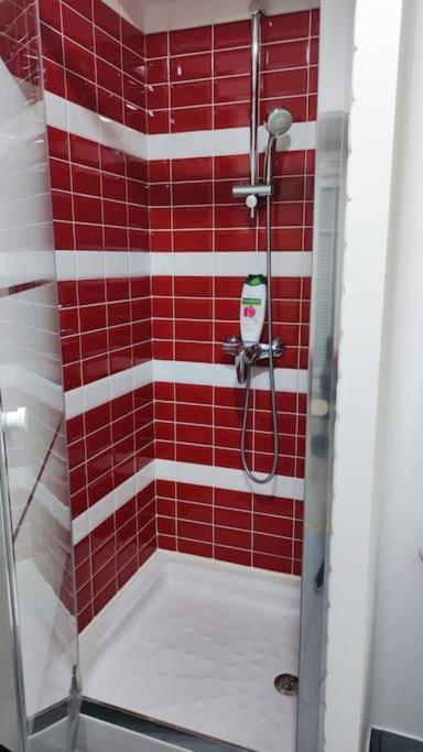Апартаменты Studio - 1 Min Rer - 10Min Disney & 30 Min Paris - Free Parking & Wifi Бюсси-Сен-Жорж Экстерьер фото